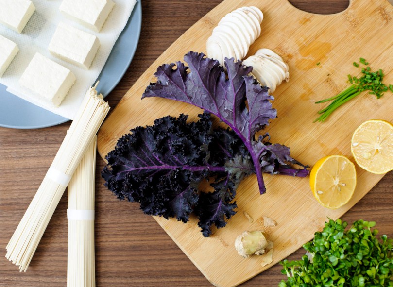 rubber-scraper-mvt_carmen-ladipo_easy-udon_0004