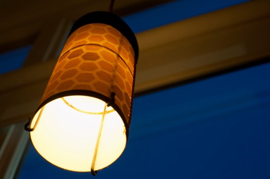 carmen-ladipo_portland-maine_0147