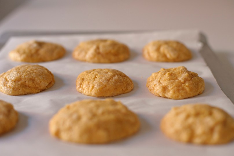 rubber-scraper-mvt_pumpkin-spice-sugar-cookies_carmen-ladipo_0069